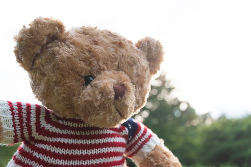 ボーダー柄セーターを着たテディベアが屋外にあらわる