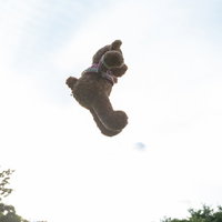 青空と雲を背景に宙を舞うくまのぬいぐるみの写真