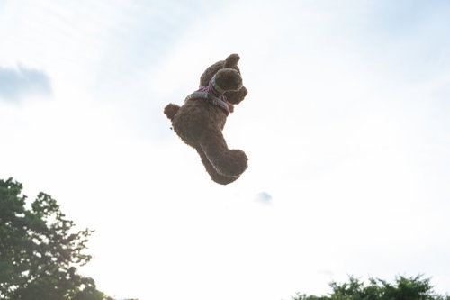 青空と雲を背景に宙を舞うくまのぬいぐるみ