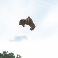 空高く飛ぶクマのぬいぐるみの写真