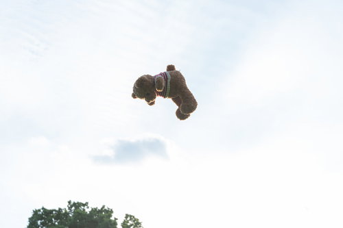 空高く飛ぶクマのぬいぐるみ