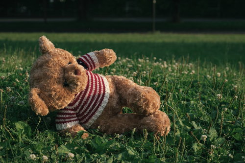 赤いボーダーシャツを着て芝生に横たわるくまのぬいぐるみ