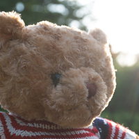 ボーダー柄の服を着たクマのぬいぐるみの写真