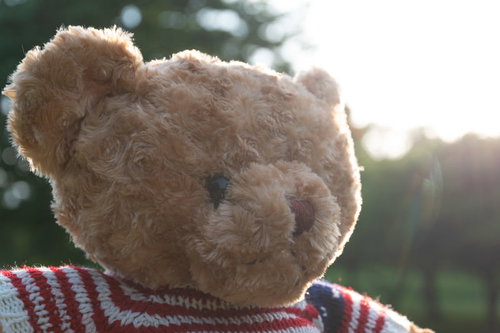 ボーダー柄の服を着たクマのぬいぐるみ