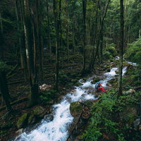 豪雨の後の渓流に横たわる倒木を撮影するカメラマンの写真