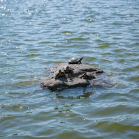 登山道の先に広がる稜線と遠くに見える青い海の写真