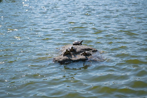 登山道の先に広がる稜線と遠くに見える青い海