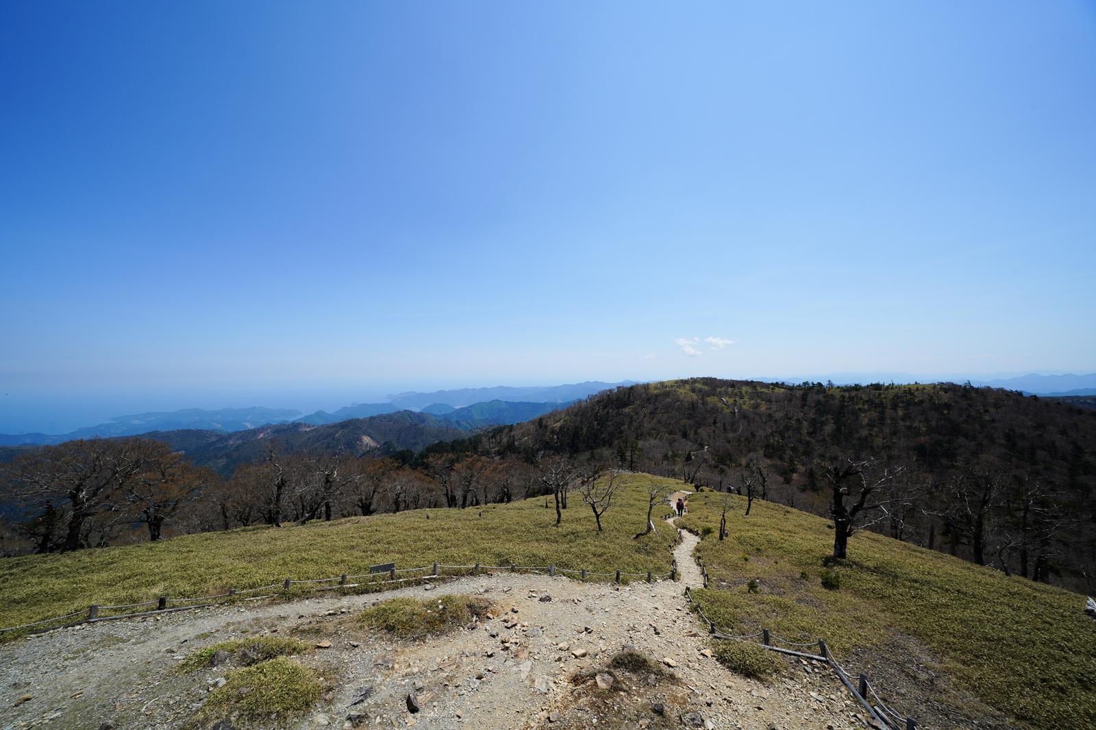 高原の草地に立ち枯れた木が複数本佇み、奥に青空と山並みが広がる