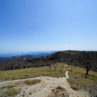 高原に佇む立ち枯れ木と遠くに続く山並み、登山道の風景の写真