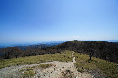 高原に佇む立ち枯れ木と遠くに続く山並み、登山道の風景