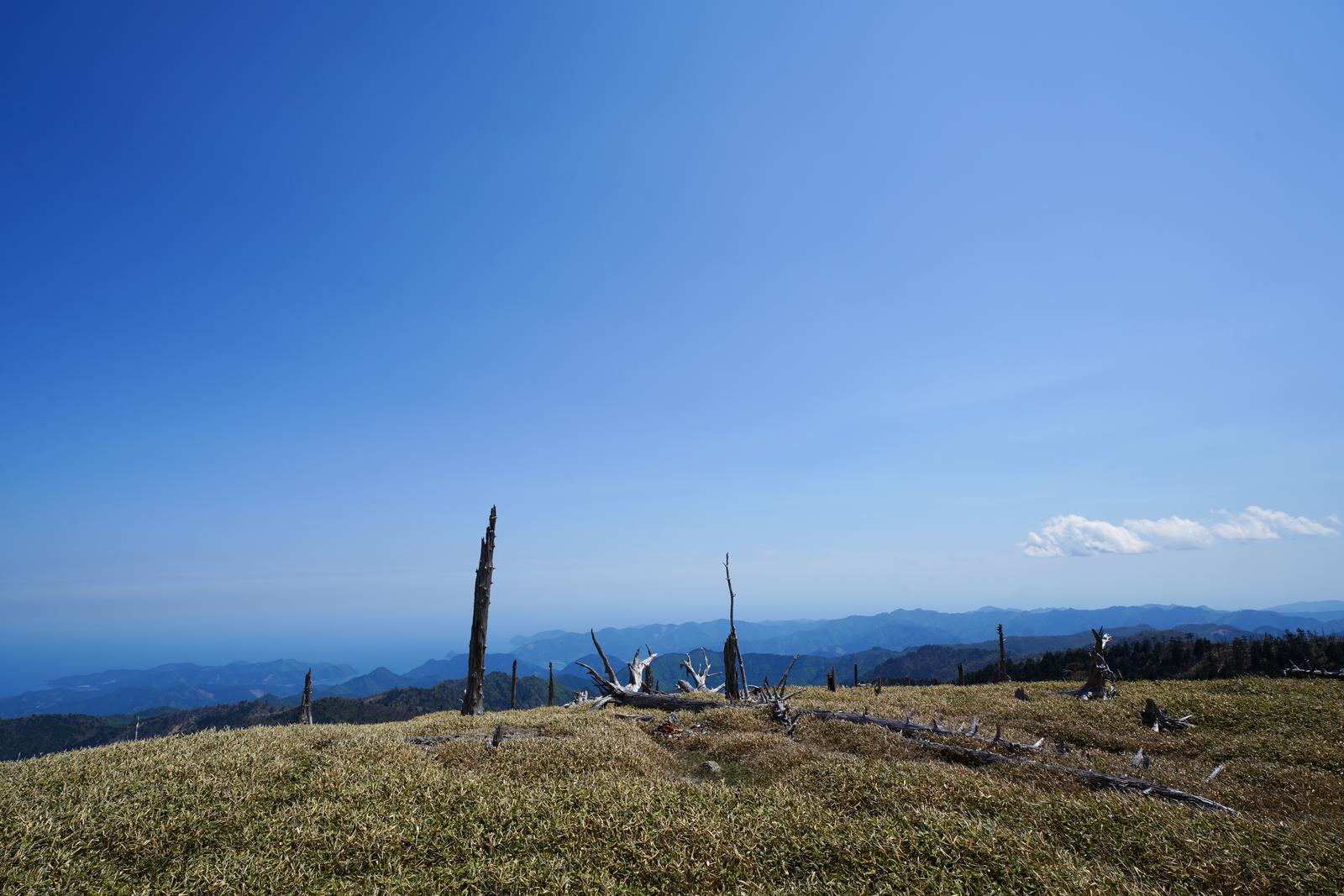高原に立つ枯れ木と山並み