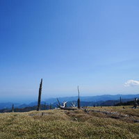 高原に佇む枯れ木と遠くに続く山並みの写真