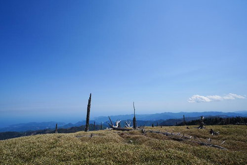 高原に佇む枯れ木と遠くに続く山並み