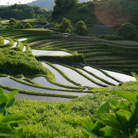 下赤阪の棚田の水鏡が映す初夏の農村風景と山々の写真