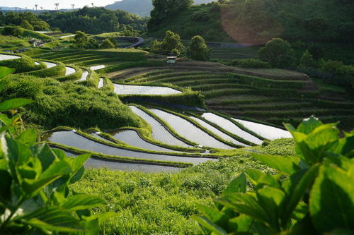 下赤阪の棚田の水鏡が映す初夏の農村風景と山々
