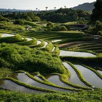 下赤阪の棚田の水鏡が映す初夏の農村風景と山々の写真