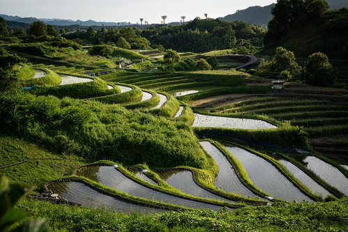 下赤阪の棚田の水鏡が映す初夏の農村風景と山々