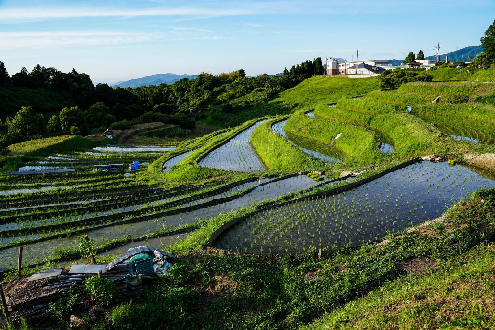 曲線を描いて連なる下赤阪の棚田と田植え直後の水鏡