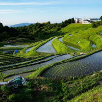下赤阪の棚田の曲線美と水鏡 千早赤阪村の階段状田んぼの写真
