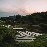 山あいに広がる下赤阪の棚田の写真