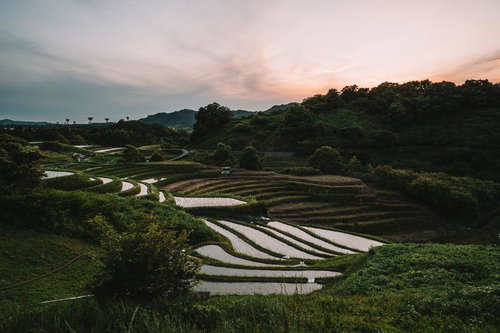 山あいに広がる下赤阪の棚田