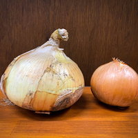 おっきな玉ねぎとちっちゃな玉ねぎを並べたテーブルの写真