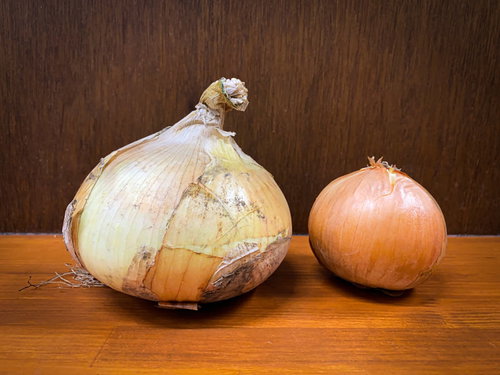 おっきな玉ねぎとちっちゃな玉ねぎを並べたテーブル