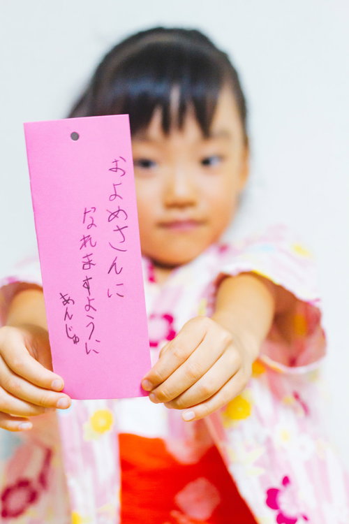 丘陵地に広がる茶畑の畝と緑の列