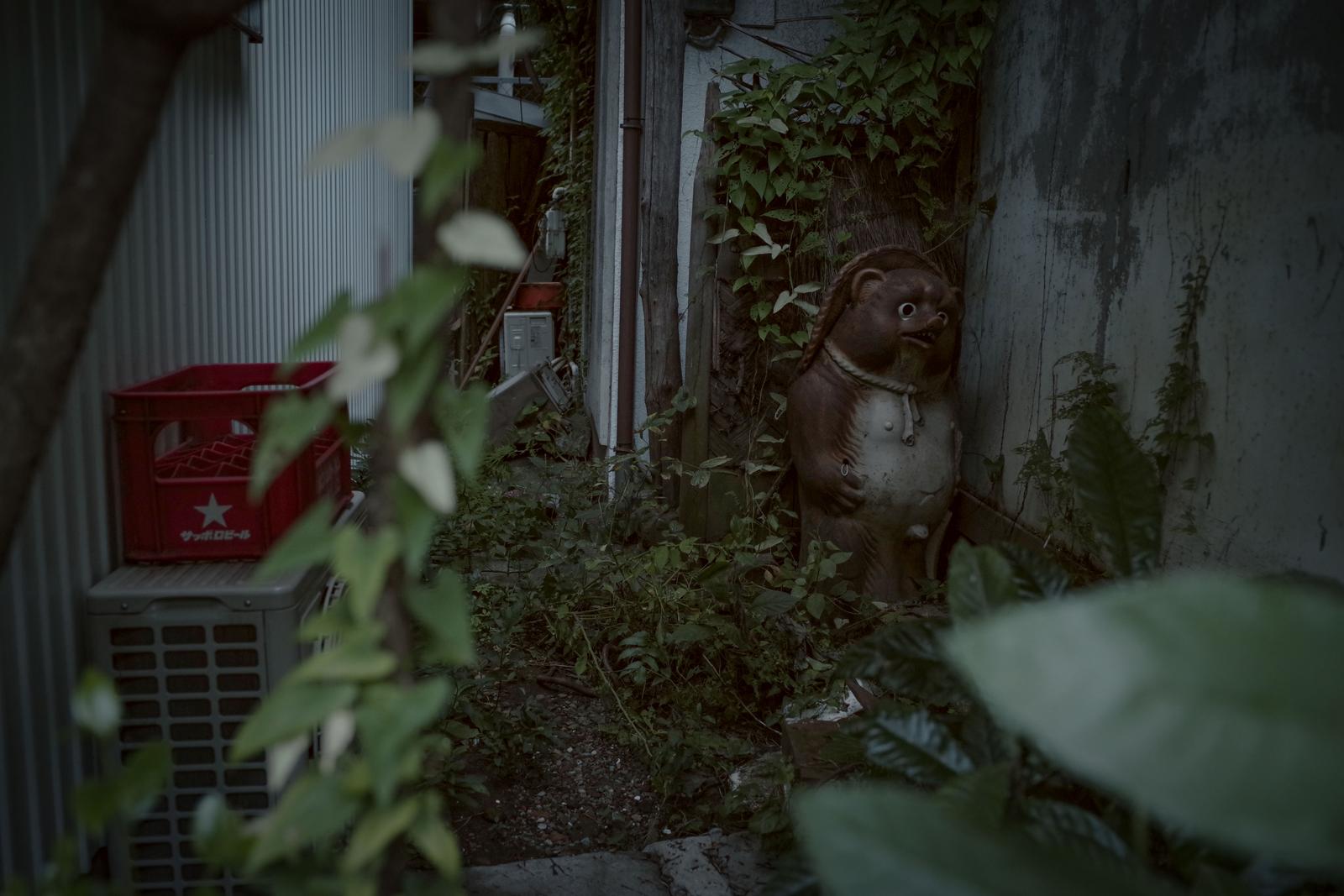 草が茂る路地裏に立つたぬきの陶器置物