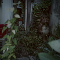 忘れ去られたたぬきの置物と草に覆われた路地裏の写真