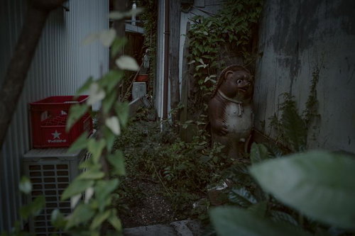 忘れ去られたたぬきの置物と草に覆われた路地裏