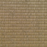 猫に引っ掻かれてボロボロになった畳の損傷状態の写真