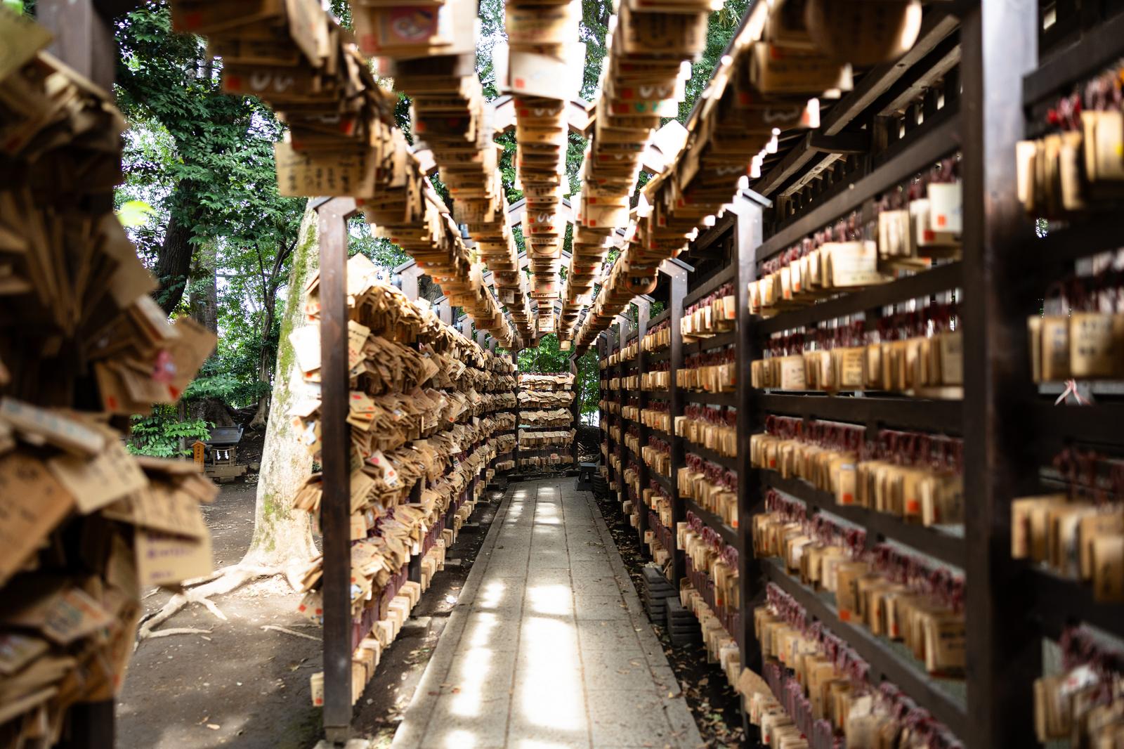A passageway lined with stacked votive tablets (ema) on both sides. Green foliage plants hang from the ceiling with white lighting illuminating the space.