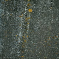 カビのような斑点と汚れた外壁のコンクリートテクスチャーの写真