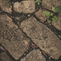 間に雑草や苔が生えた古い石垣のテクスチャーの写真