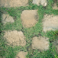 芝生の上に置かれた不揃いな石畳のテクスチャーの写真