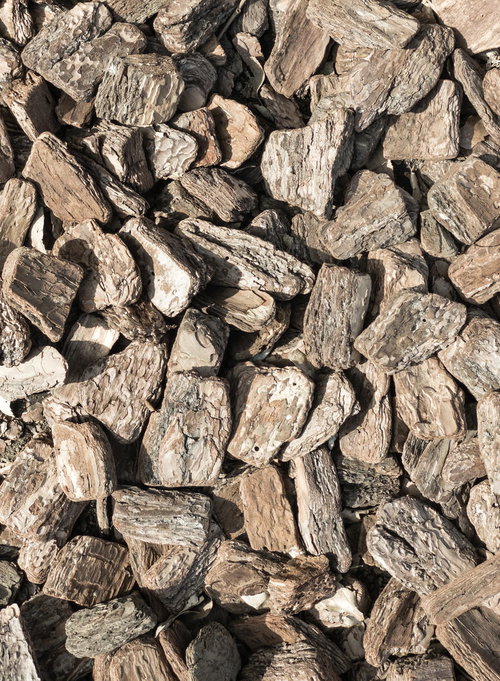 敷き詰められたバークチップのテクスチャー