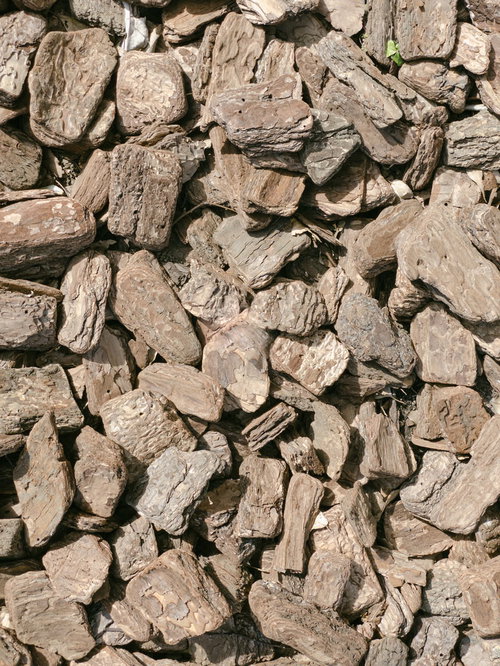 表面が乾燥したバークチップのテクスチャー