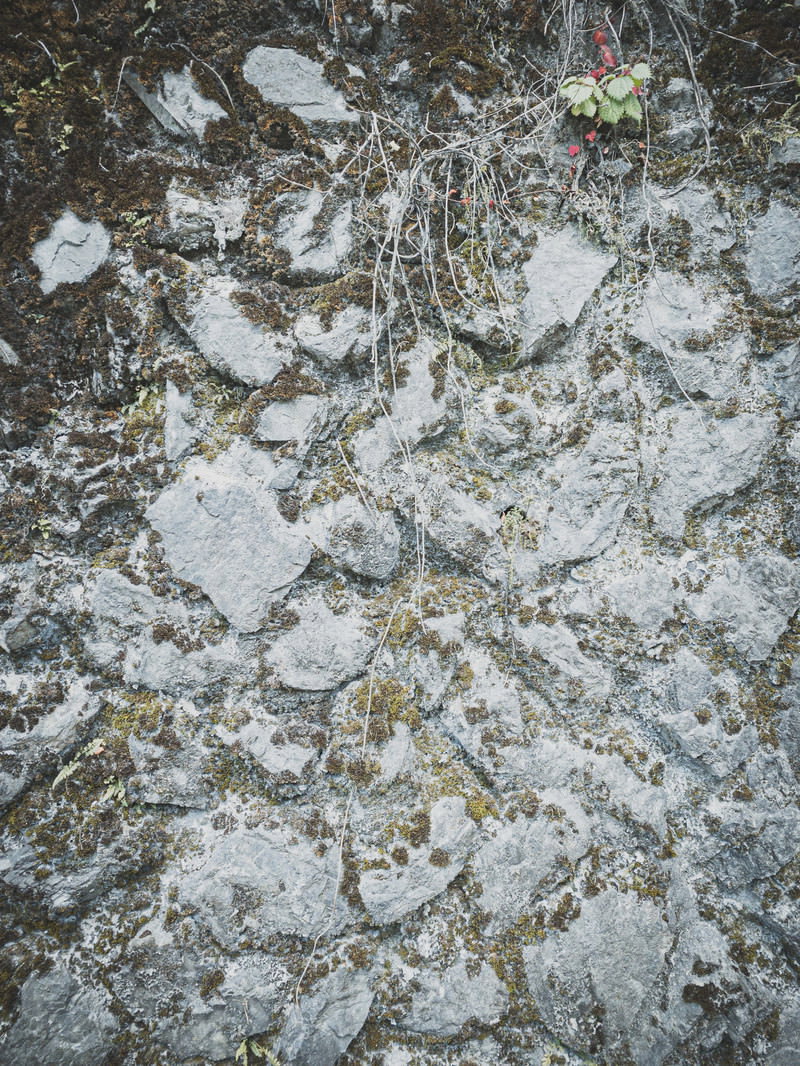 風化して表面が白く粉を吹き、苔や汚れが付着した古い石垣のテクスチャー