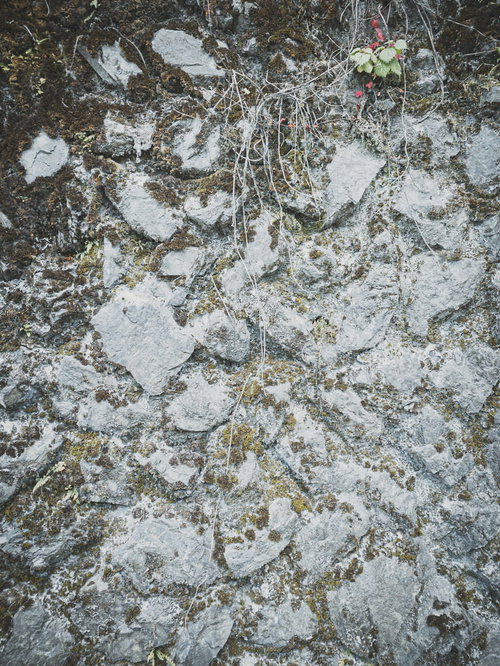 表面が崩れ落ちて粉を吹く石垣のテクスチャー