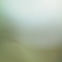 薄暗く濁った緑がかった背景素材 ホラー・ミステリアス表現向けの写真
