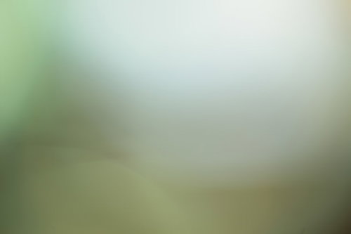 薄暗く濁った緑がかった背景素材 ホラー・ミステリアス表現向け