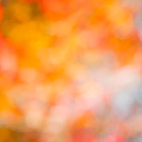 蠢くオレンジの光と円形ボケ、暖色グラデーション背景の写真