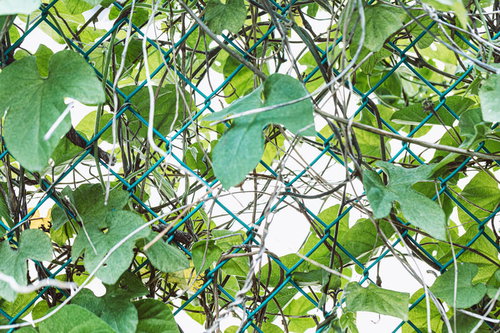 コンクリートのテクスチャ