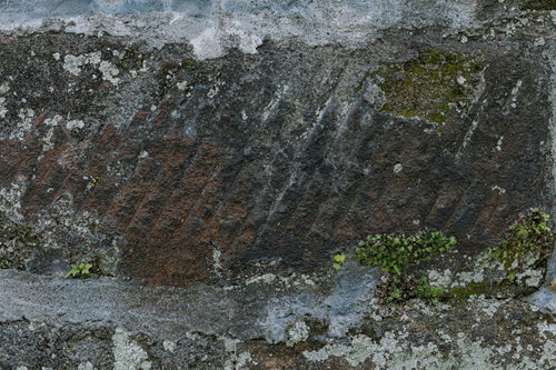 何度も修復したであろう擁壁のコンクリート表面
