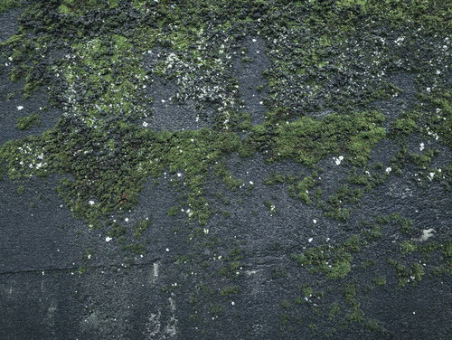 苔むした濡れたコンクリート壁の質感と暗いグレーテクスチャー