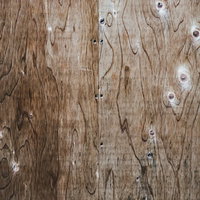 古びた木材の壁面に浮かぶ年輪と木目のテクスチャーの写真