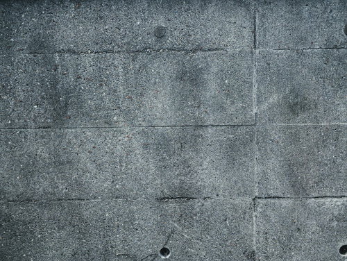 コンクリート壁の水抜き穴から伸びた枯れたツル（テクスチャ）