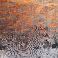 不気味な木目と節が浮かび上がる一枚板のテクスチャーの写真