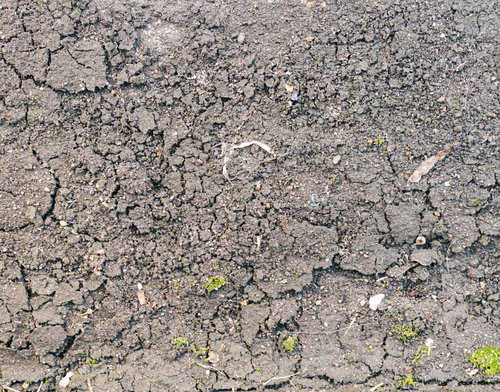 表面が乾ききった地面のひび割れ（テクスチャ）